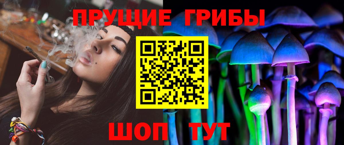 Миллерово  Галлюциногенные грибы Psilocybe  Вход с VPN 